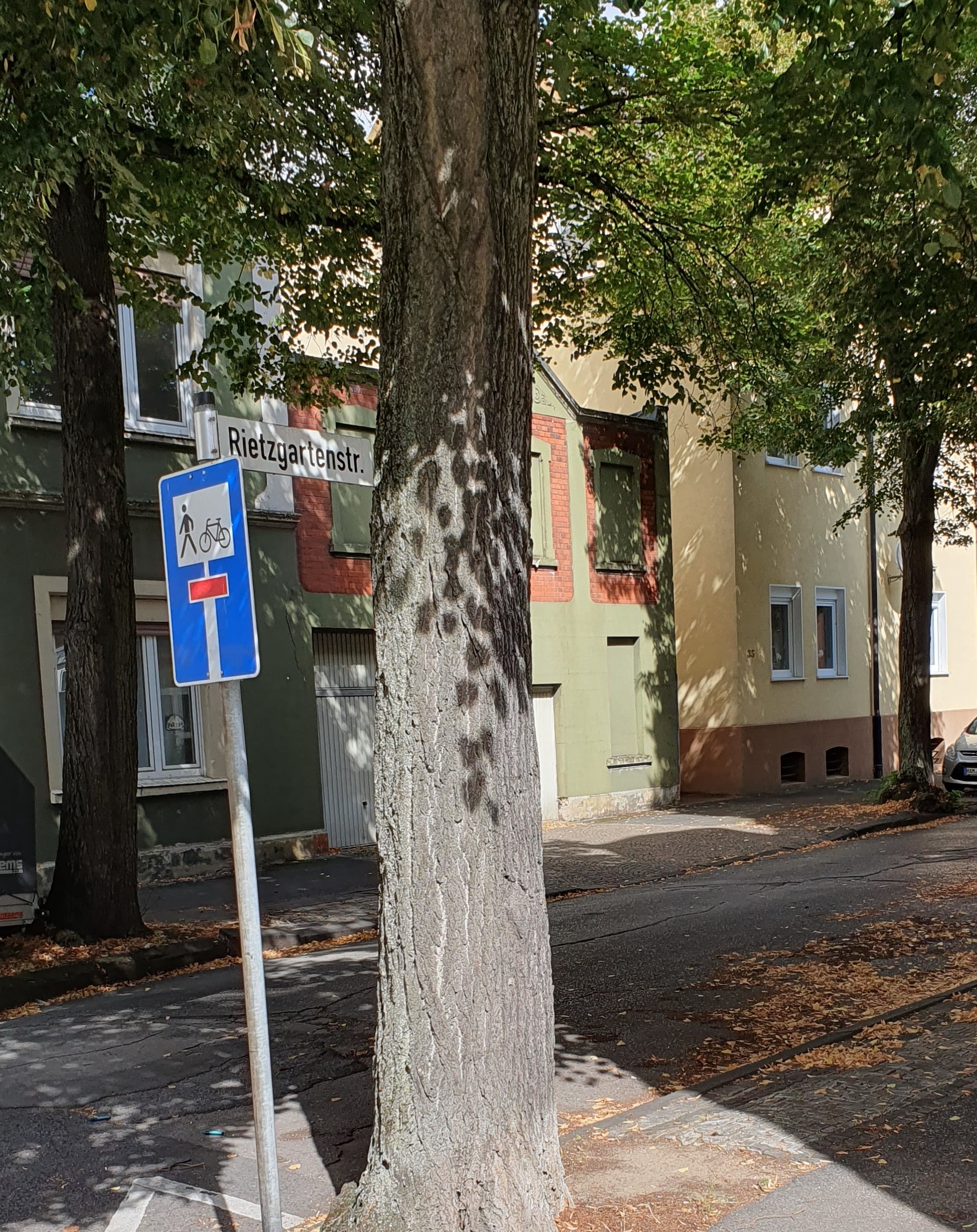 Antrag an den OB auf Sanierung der Rietzgartenstraße (Höhe TUS-Vereinsgelände)